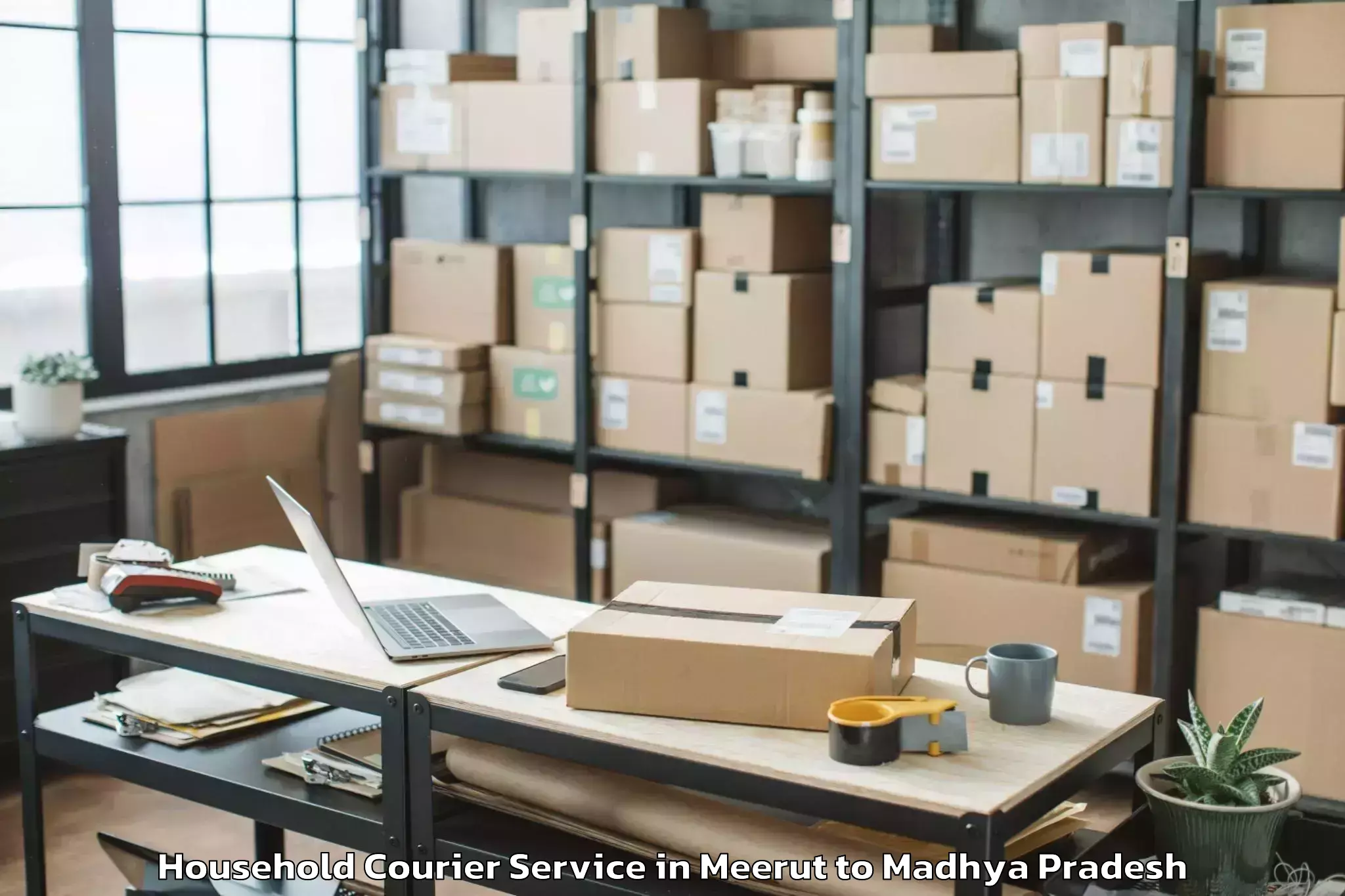 Top Meerut to Dhamnod Household Courier Available